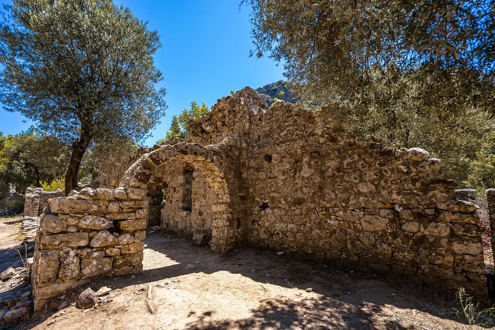 Stenen ruines van de antieke stad Olympos onder olijfbomen en een blauwe lucht